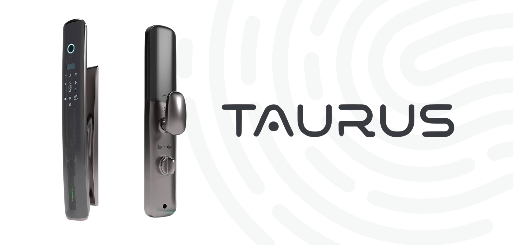 Taurus